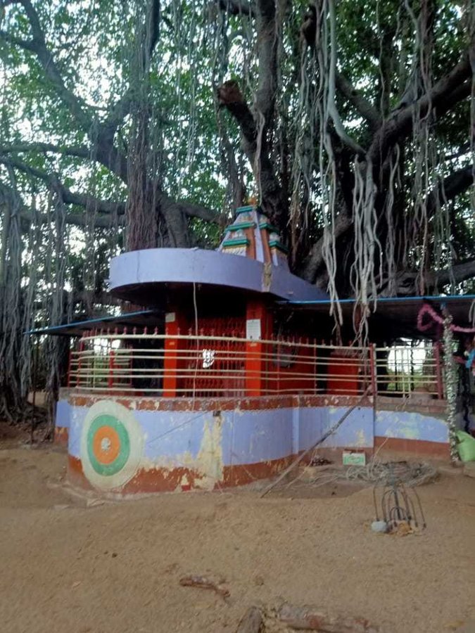 Shri Kshetra Kuravpur, Sripada Srivallabha Temple